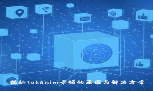 揭秘Tokenim卡顿的原因与解决方案