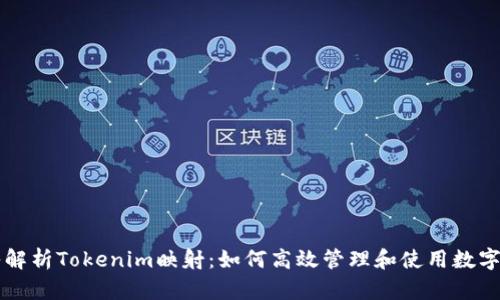 深入解析Tokenim映射：如何高效管理和使用数字资产