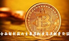全面解析国内主要虚拟币及其投资价值