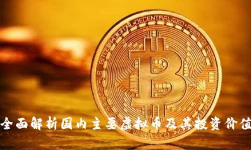 全面解析国内主要虚拟币及其投资价值