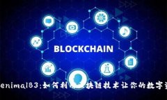 解码TokenimalB3：如何利用区块链技术让你的数字资