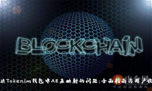 解决Tokenim钱包中AE未映射的问题：全面指南与用户收益