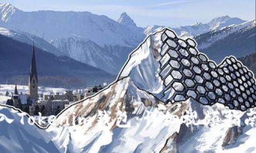如何轻松导入Tokenim钱包：详细视频指南与实用技巧