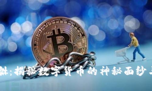 虚拟币貔貅：揭秘数字货币的神秘面纱与投资潜力