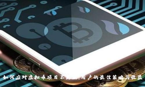 如何应对虚拟币项目不更新：用户的最佳策略与收益