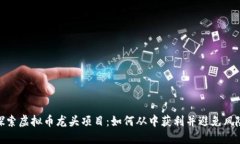 探索虚拟币龙头项目：如何从中获利并避免风险