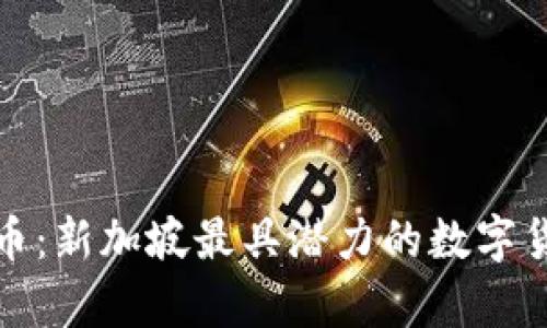 贵族币虚拟币：新加坡最具潜力的数字货币投资选择