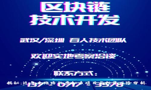 揭秘：近年来跑路的虚拟币项目与投资风险分析