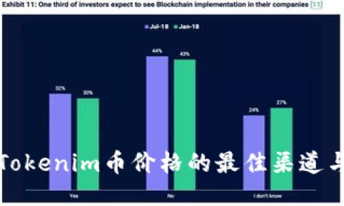 获取Tokenim币价格的最佳渠道与方式