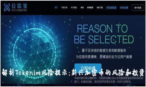 全面解析Tokenim风险提示：新兴加密币的风险和投资策略