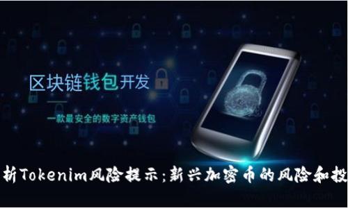 全面解析Tokenim风险提示：新兴加密币的风险和投资策略