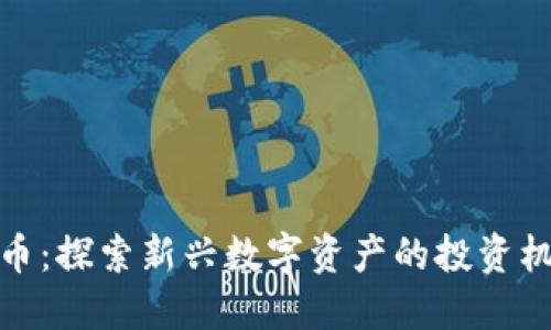 宁德虚拟币：探索新兴数字资产的投资机遇和风险