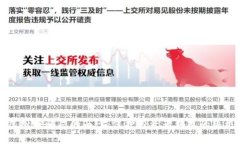 揭开虚拟币骗局的面纱：保护投资者利益的终极