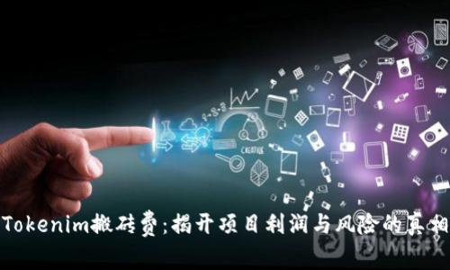 Tokenim搬砖费：揭开项目利润与风险的真相