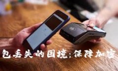 如何应对Tokenim钱包丢失的困境：保障加密资产安