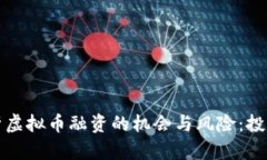 全面解析虚拟币融资的机会与风险：投资者必读